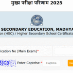 MPBSE MP बोर्ड 10वीं & 12वीं रिजल्ट 2025: डायरेक्ट लिंक, मार्कशीट डाउनलोड करने का तरीका