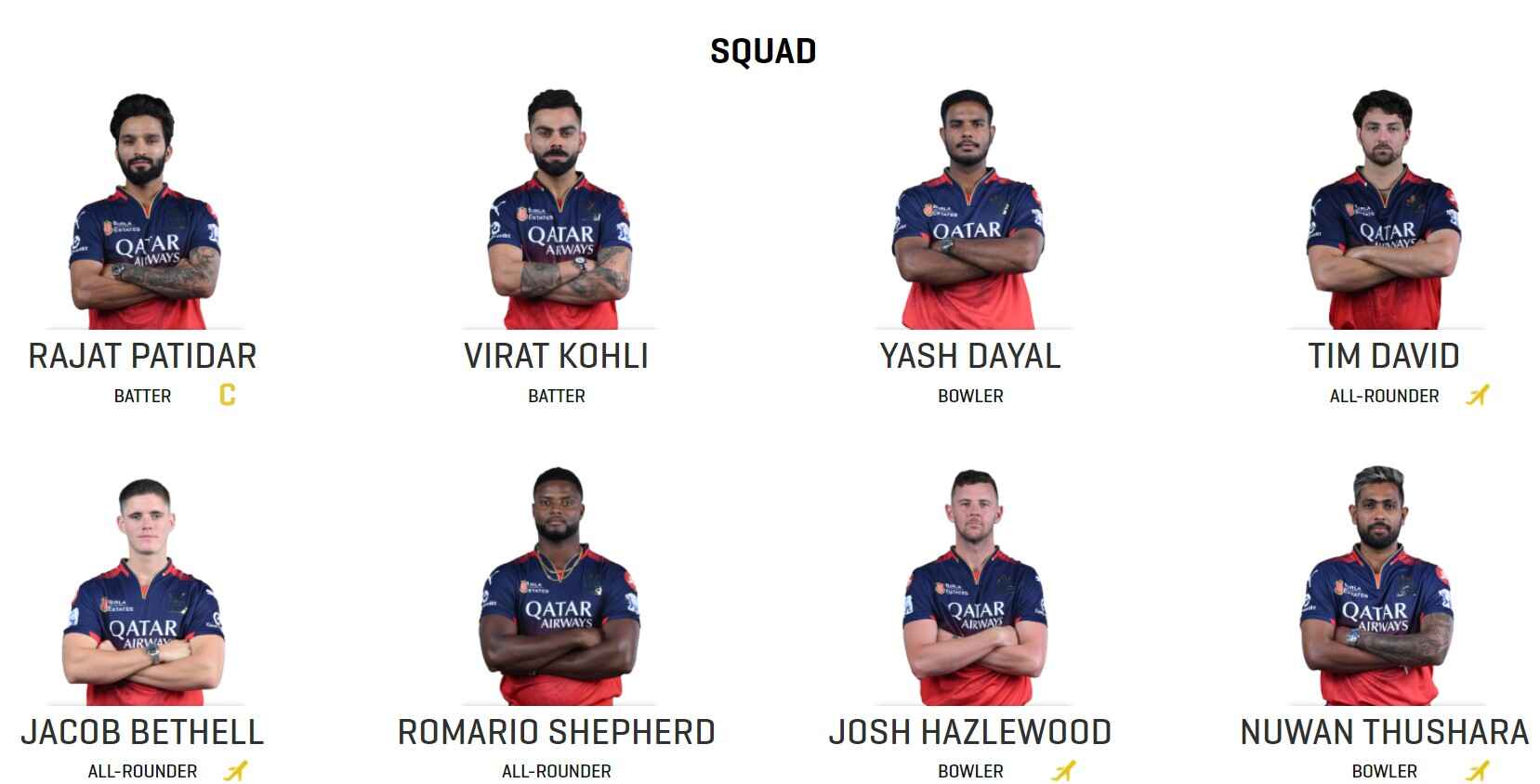 Royal Challengers Bangalore (RCB)